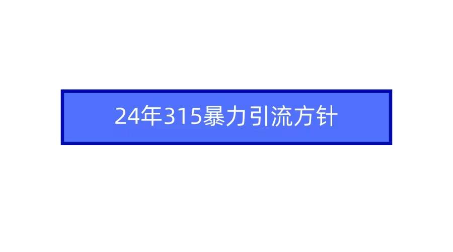 2024年315暴力引流方针-时光资源网