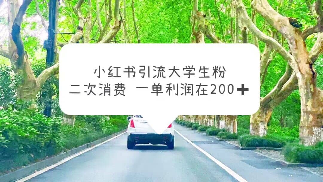 小红书引流大学生粉，变现项目，一单利润在200+（教程+资源）-时光资源网