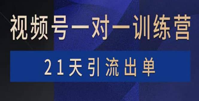 视频号训练营：带货，涨粉，直播，游戏，四大变现新方向，21天引流出单-时光资源网