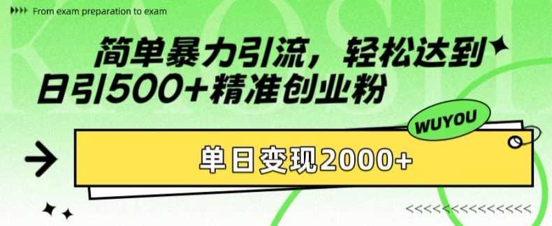 简单暴力引流轻松达到日引500+精准创业粉，单日变现2k【揭秘】-时光资源网