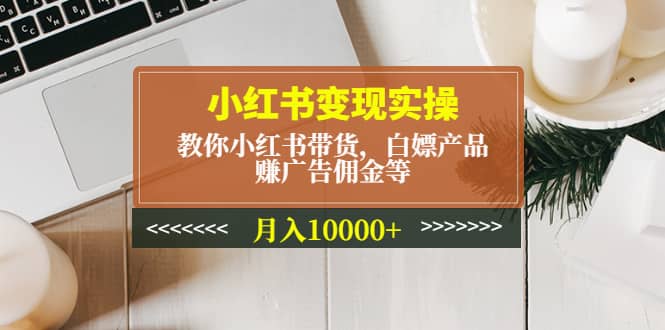 小红书变现实操：教你小红书带货，白嫖产品，赚广告佣金等-时光资源网