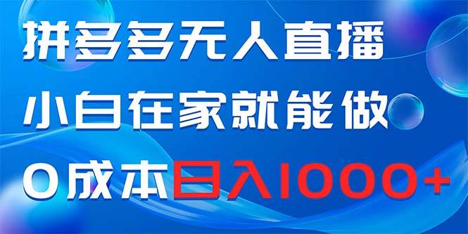 拼多多无人直播，小白在家就能做，0成本日入1000+-时光资源网